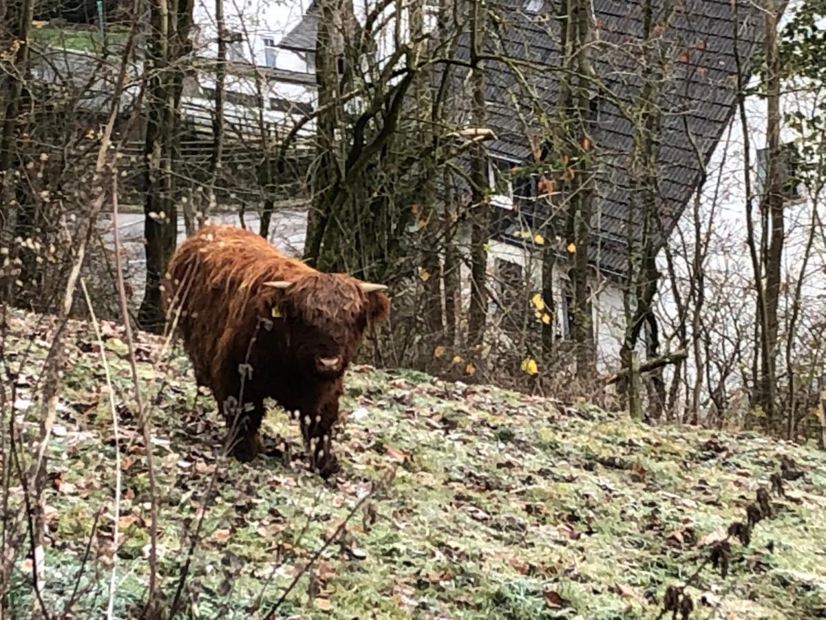 Ferienwohnung Koelbel Familienurlaub In Der Natur Schmallenberg Zewnętrze zdjęcie